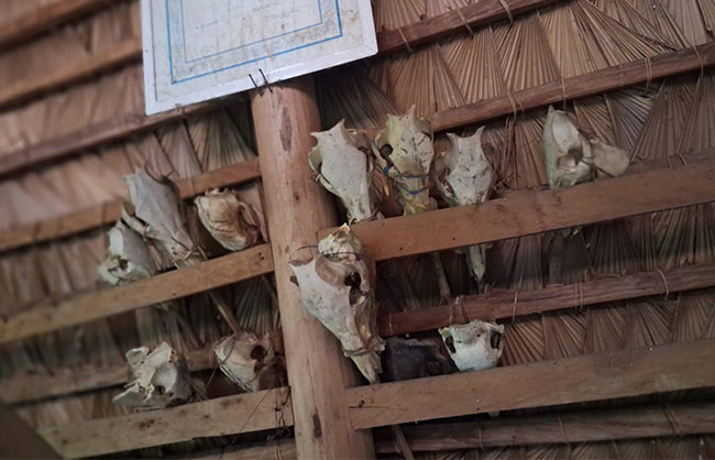 Tour Image 6